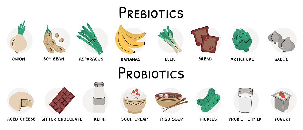 Prebiotic