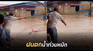 ฝนตก