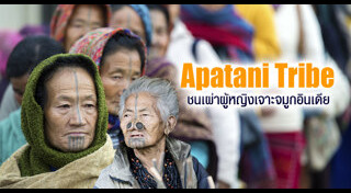 ชนเผ่า