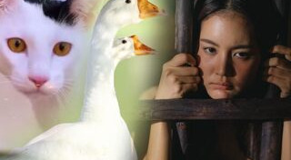 ข่าวละคร