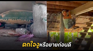 งูเข้าบ้าน