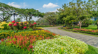 ที่เที่ยวกรุงเทพฯ