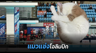 กระโดดน้ำ