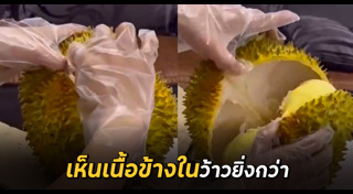 ปอกผลไม้