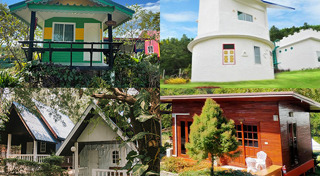 ทุ่งทานตะวัน สระบุรี