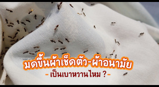 ผ้าอนามัย