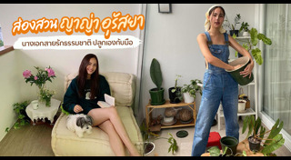 ปลูกต้นไม้ริมระเบียง