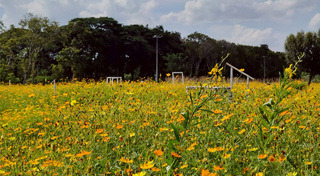 ที่เที่ยวกรุงเทพฯ