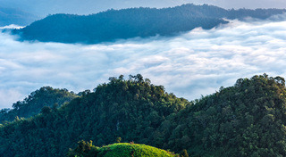 ทะเลหมอก