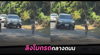 เขาใหญ่