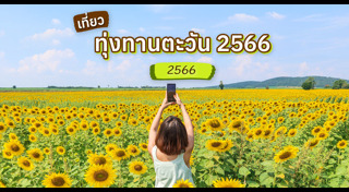 ทุ่งทานตะวัน สระบุรี