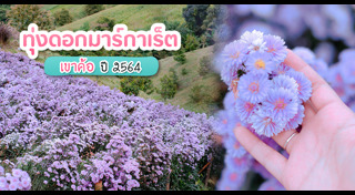 ที่เที่ยวเขาค้อ