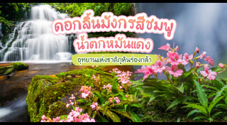 ที่เที่ยวพิษณุโลก