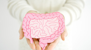 ระบบย่อยอาหาร