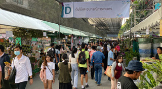 งานเกษตรแฟร์