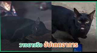 แม่หยัว