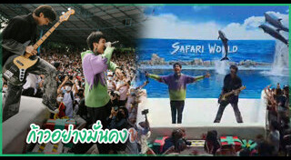 ฮาย Paper Planes