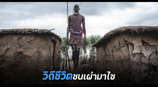 ชนเผ่า