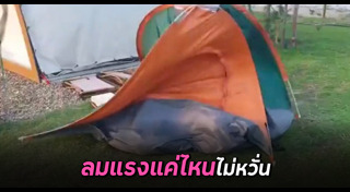 กางเต็นท์