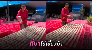 ไข่เยี่ยวม้า