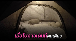 กางเต็นท์