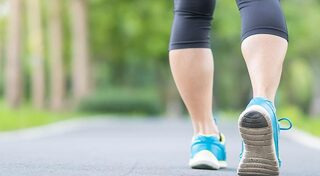 ระบบย่อยอาหาร