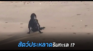 สัตว์ประหลาด
