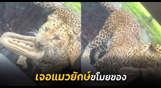 รองเท้าแตะ