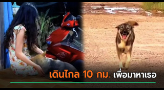 หมาแสนรู้