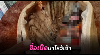 ตรุษจีน