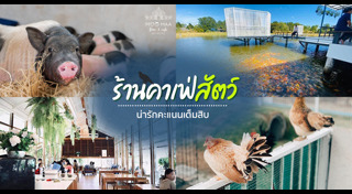 คาเฟ่สัตว์เลี้ยง