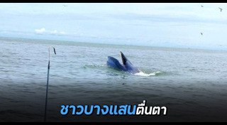 บางแสน