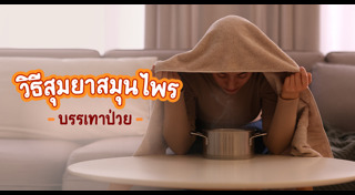 สมุนไพรพื้นบ้าน