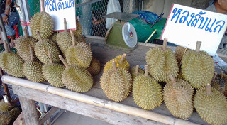 ที่เที่ยวพิษณุโลก