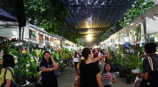 งานเกษตรแฟร์