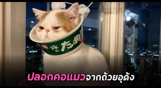 สิ่งประดิษฐ์จากวัสดุเหลือใช้