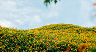 ที่เที่ยวแม่ฮ่องสอน