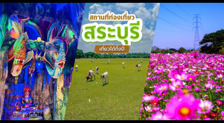 ทุ่งทานตะวัน สระบุรี