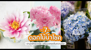 ฮวงจุ้ย