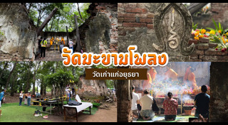 เที่ยวอยุธยา