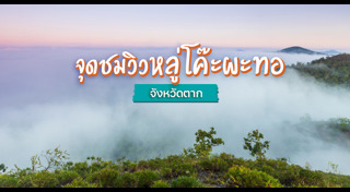 ทะเลหมอก