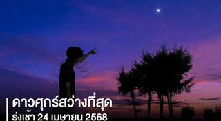 ดาวศุกร์