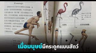 หนังสือเรียน