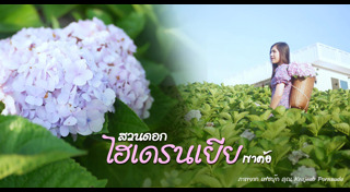 ที่เที่ยวเขาค้อ