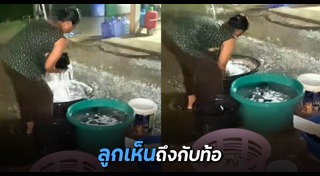 ฝนตก