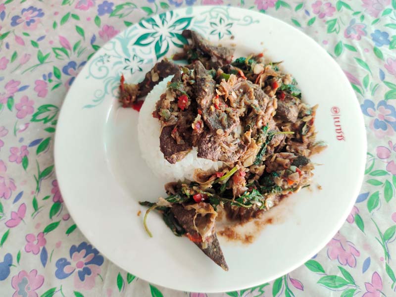 กะเพราตับ