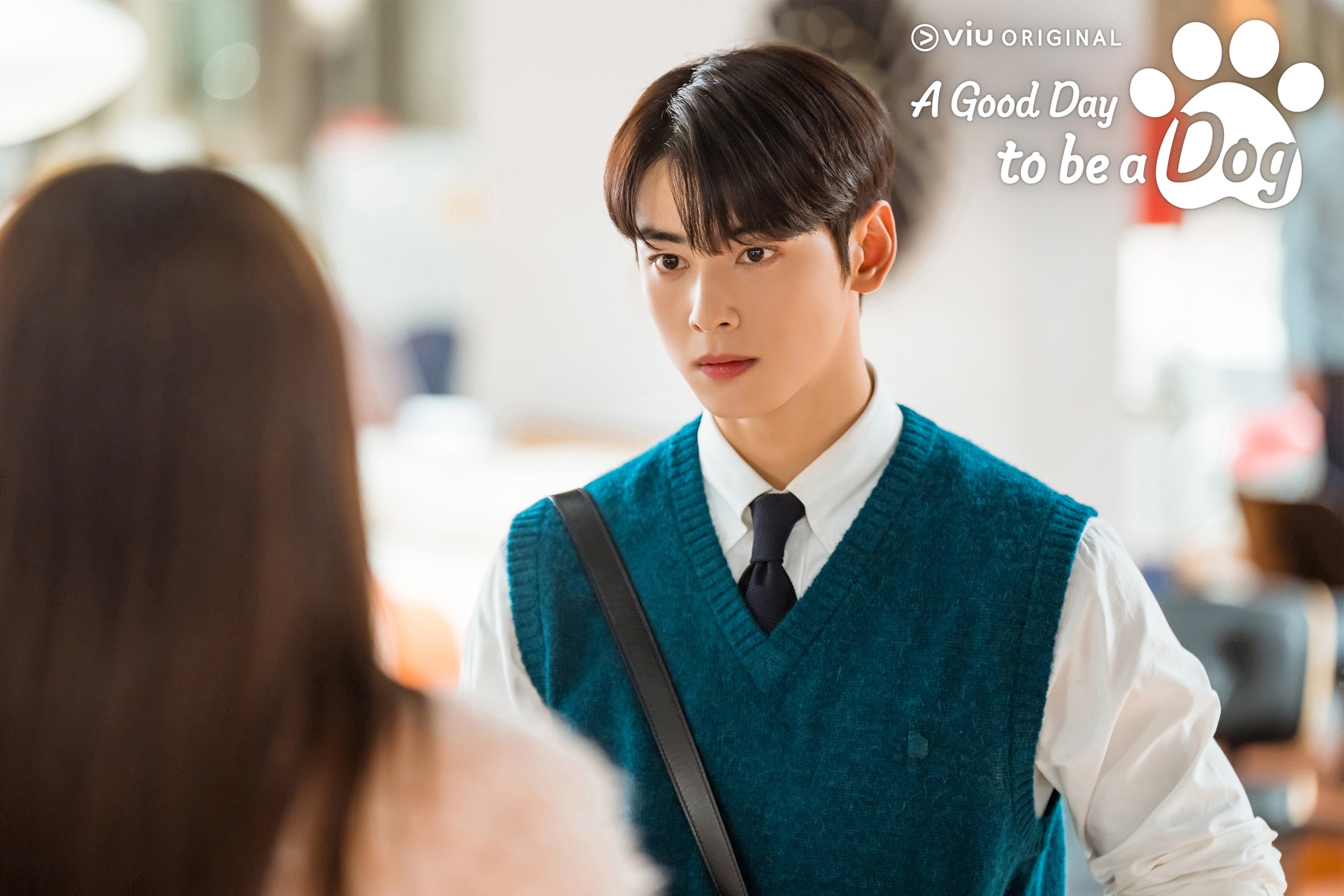 รีวิวซีรีส์, a good day to be a dog