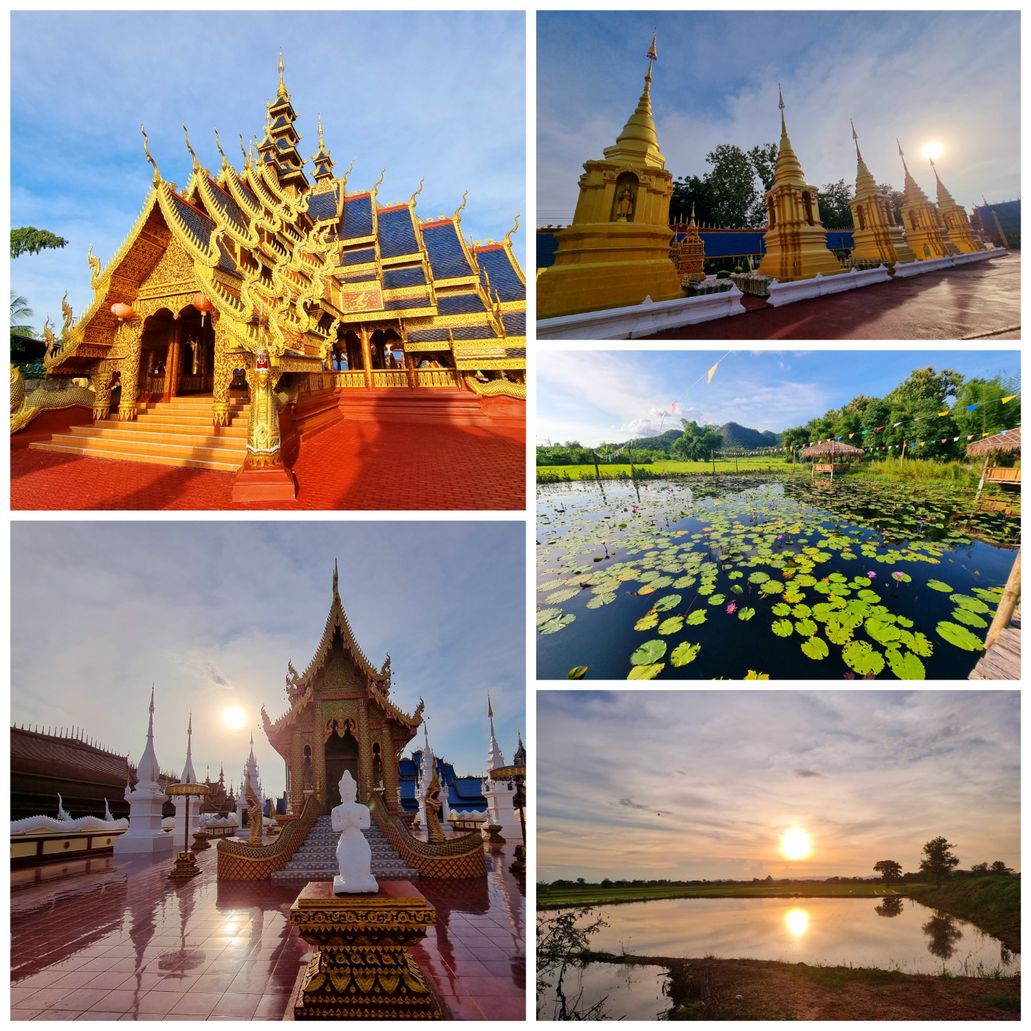 วัดพิพัฒน์มงคล