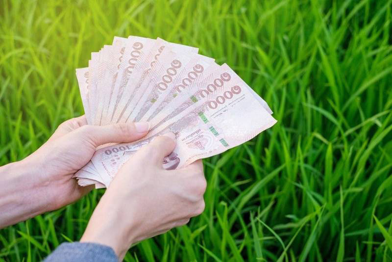 ลงทะเบียนเยียวยาเกษตรกร