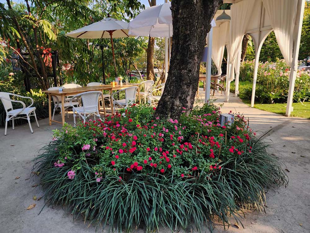 Fleur Cafe